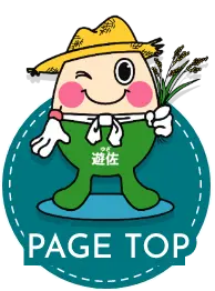 PAGE TOP