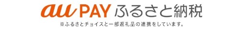 auPayバナー