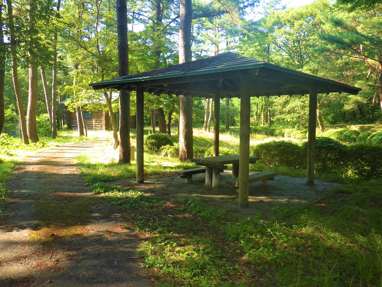 都市公園_遊ぽっと_遊歩道と東屋