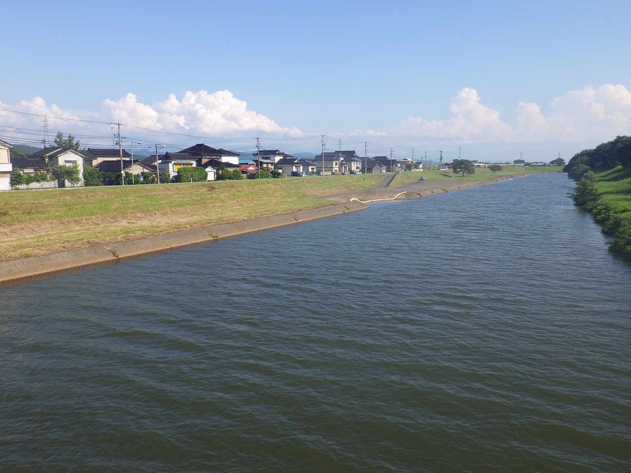河川公園_白鳥公園すがさと_菅里橋から