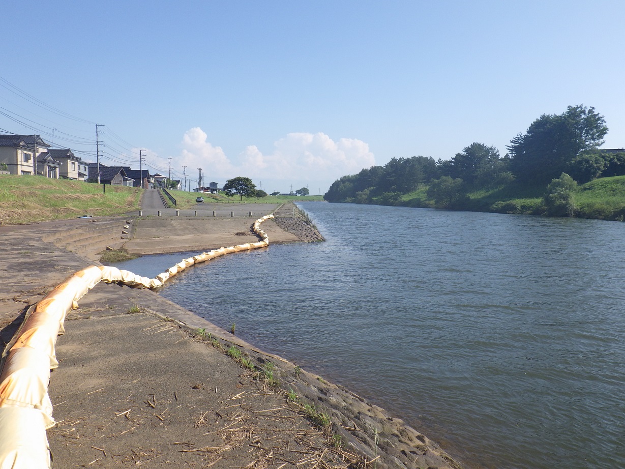 河川公園_白鳥公園すがさと_月光川沿い