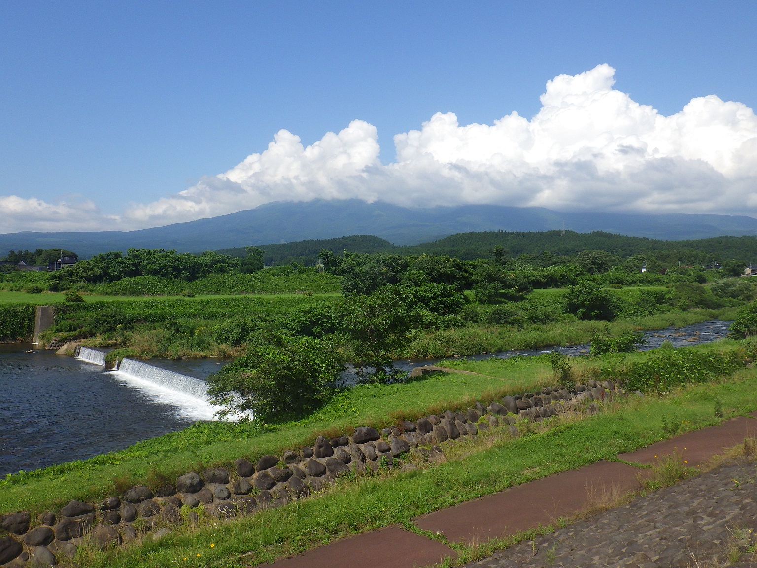 河川公園_月光川河川公園_遊歩道