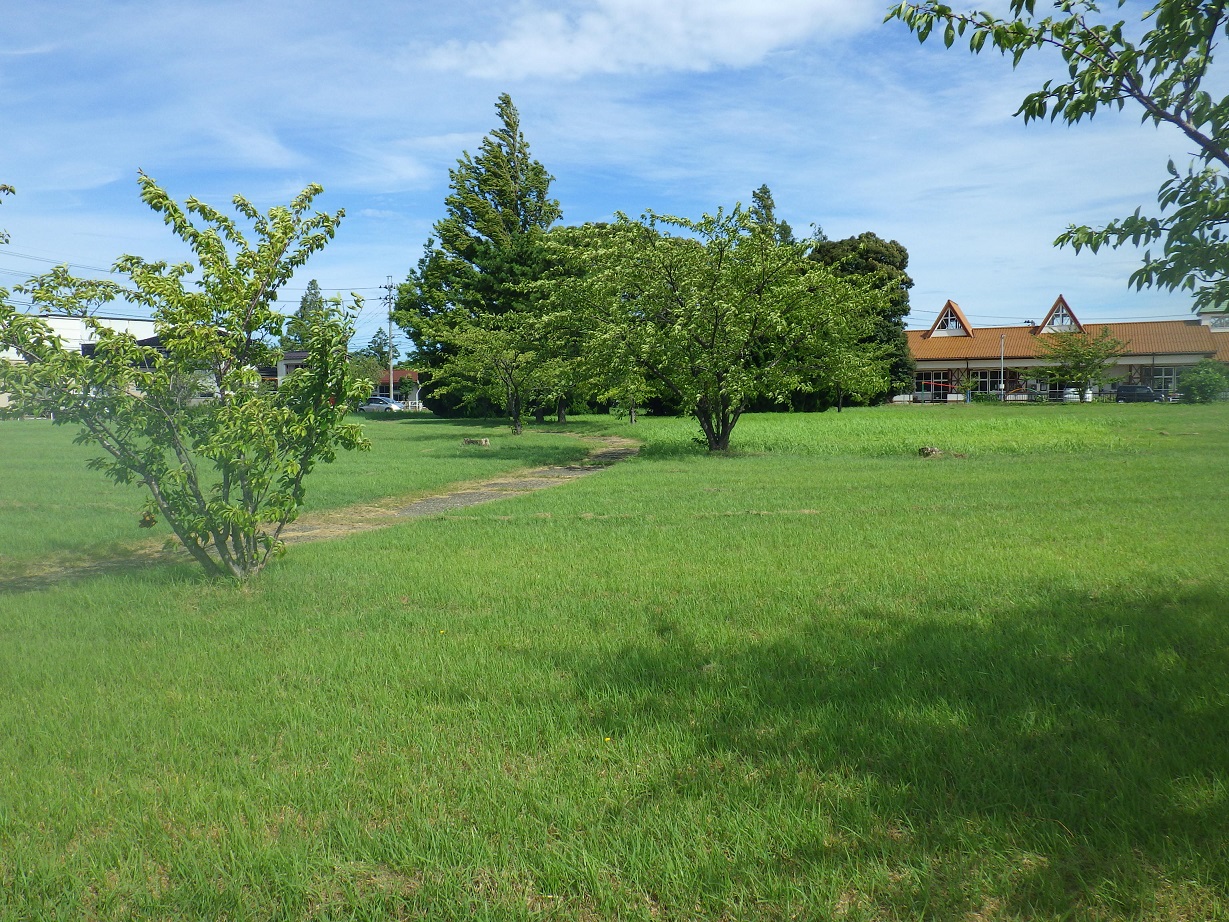 都市公園_ふれあい広場_広場