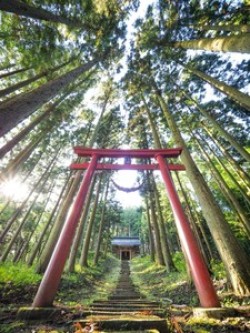 インスタ優秀賞_小野曽神社