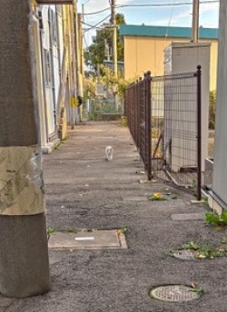小中高生入選_一人と一匹のホーム