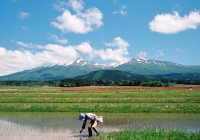 プリント最優秀賞_田植えの頃