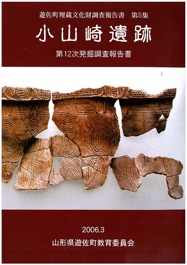 小山崎遺跡 第12次発掘調査報告書