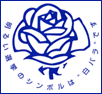 白バラ