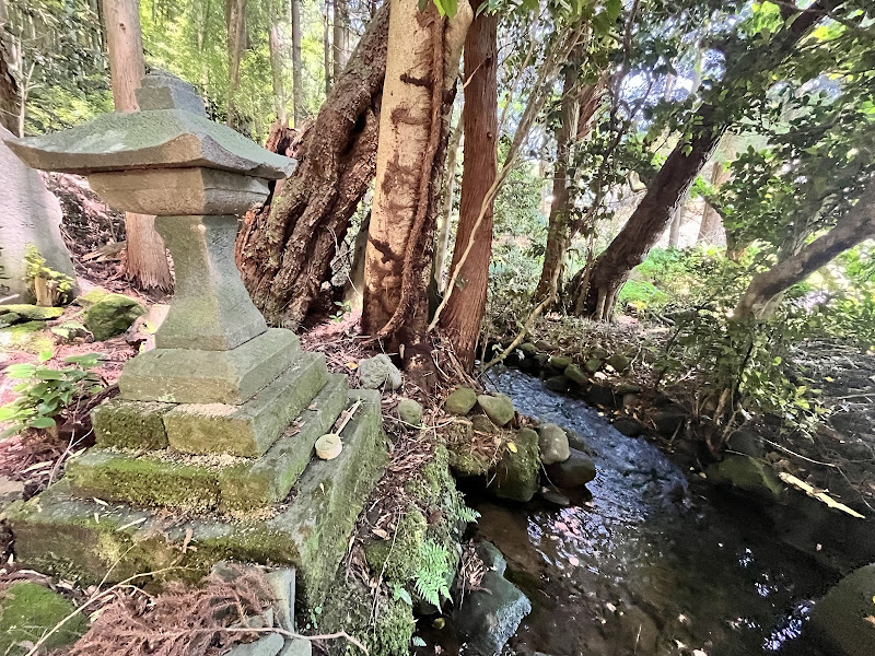 さんきょのみずの写真002