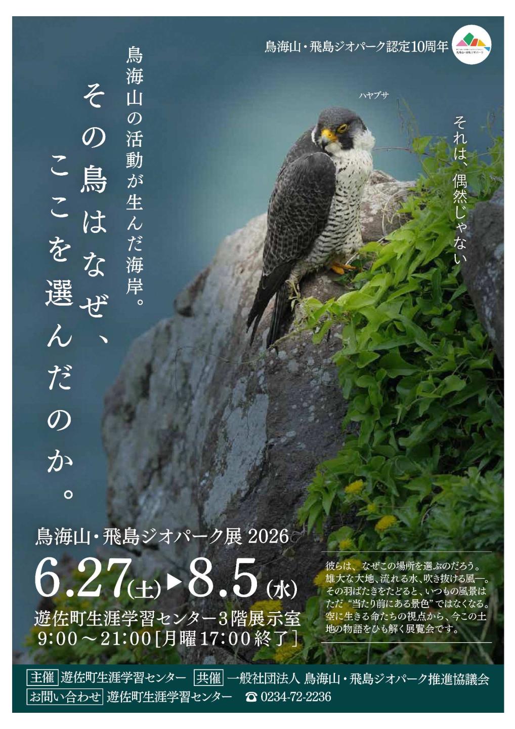 ジオパーク展チラシ