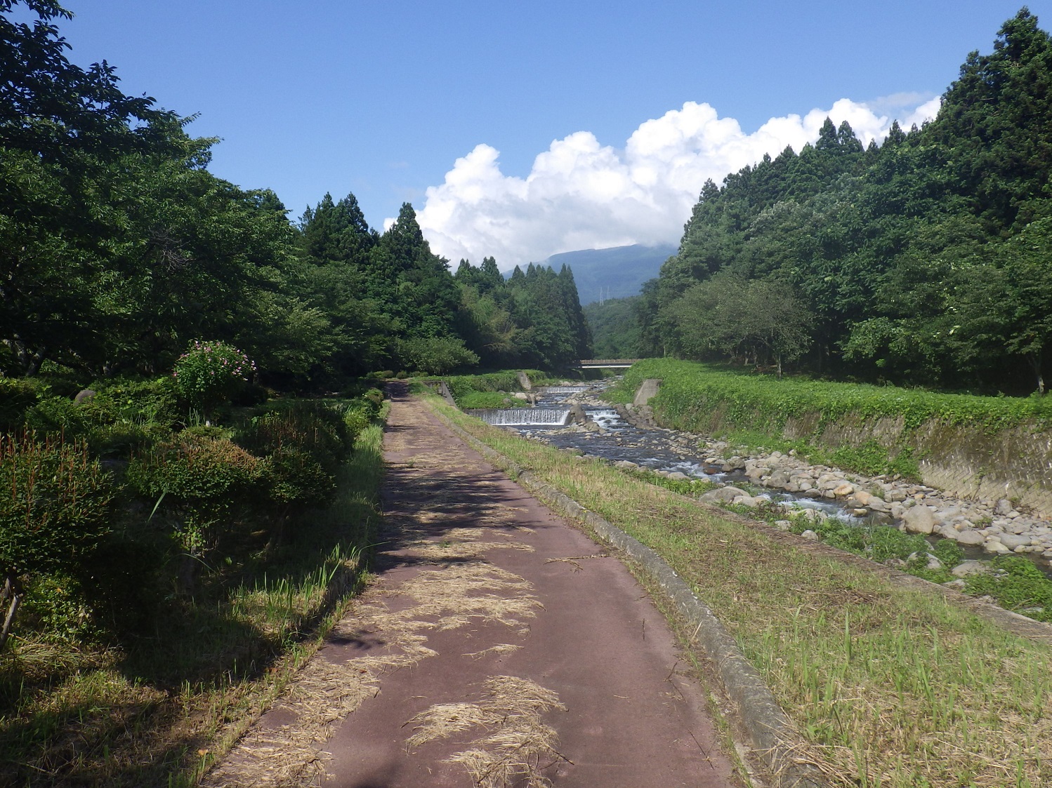 河川公園_升川河川公園_遊歩道