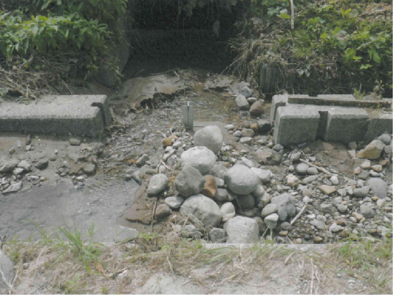 (水路への土砂堆積状況)